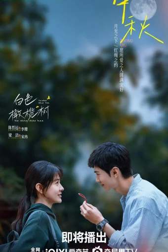 Белое оливковое дерево